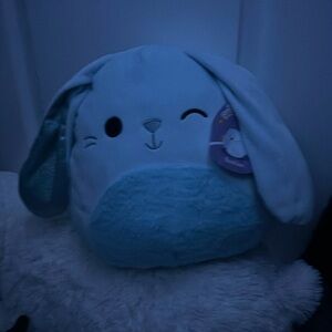 Brand new with tags squishmallow